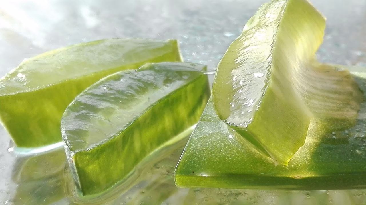 Wie benutzt man Aloe vera für die Haare?