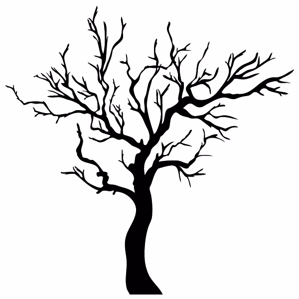 Welcher Baum ist ohne Laub?