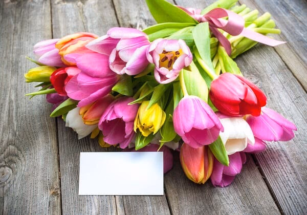 Was bedeutet die Farbe einer Tulpe?