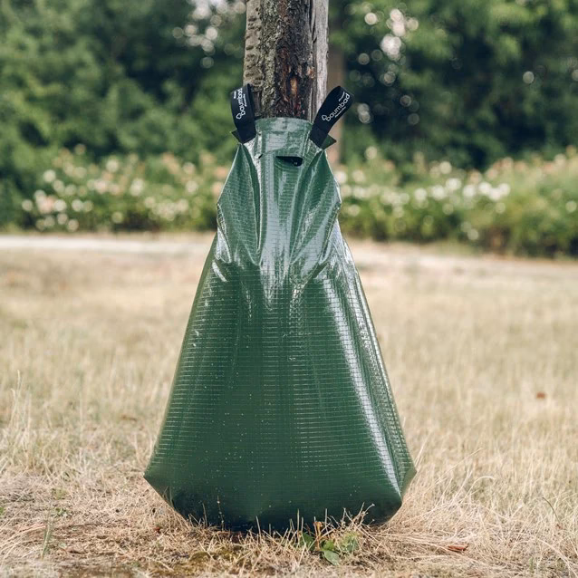 Wie lange hält ein Wasserbeutel an einem Baum?