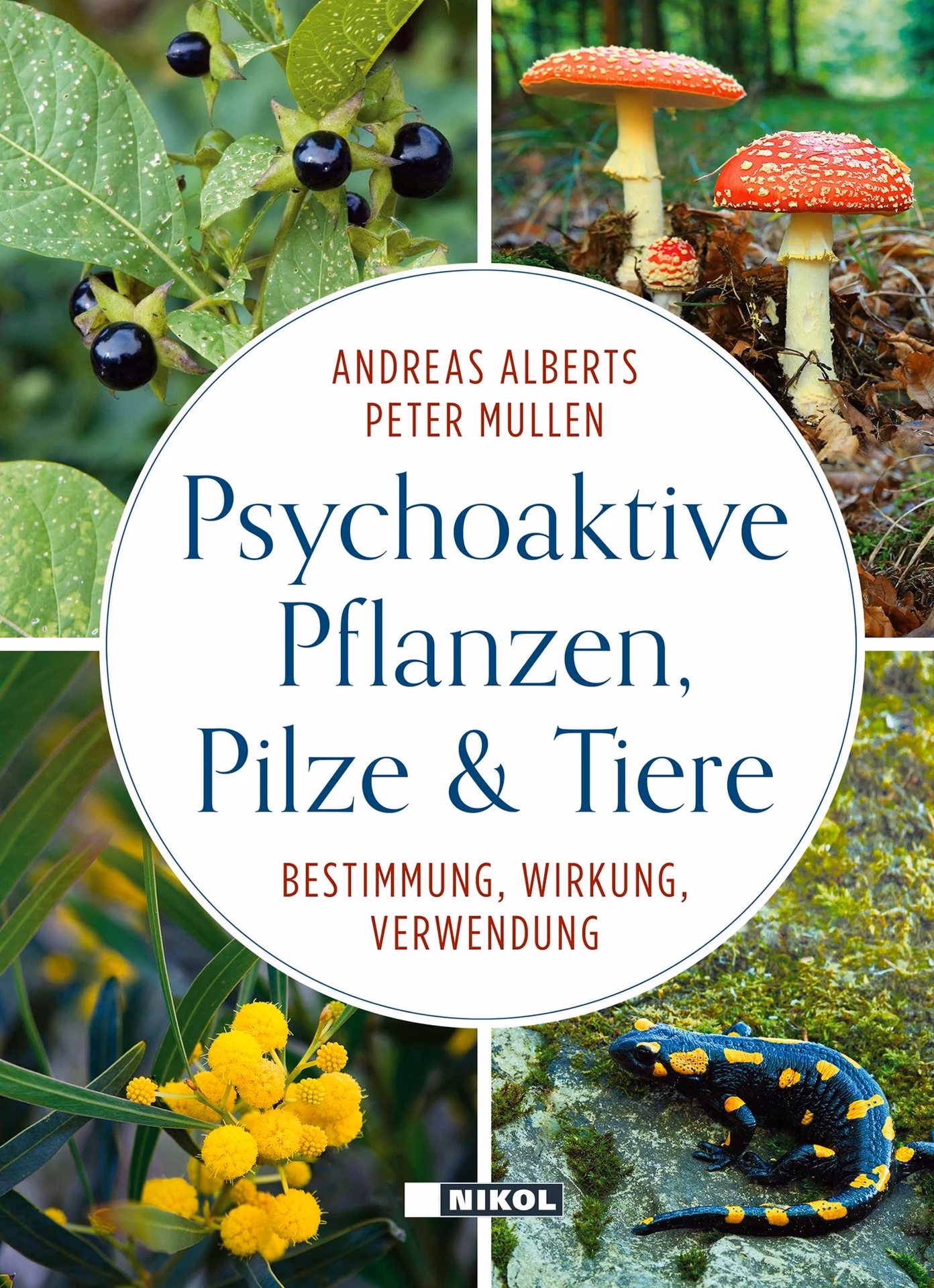 Welche Pflanzen fördern die Konzentration?