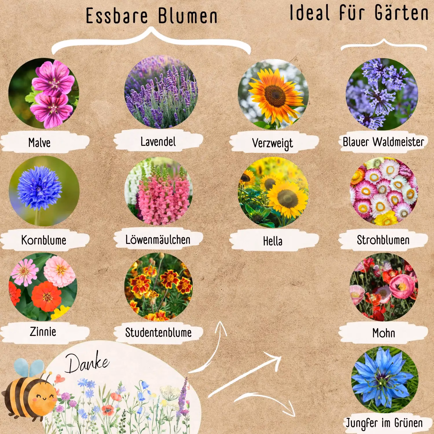 Wann sät man Bienenweide aus?