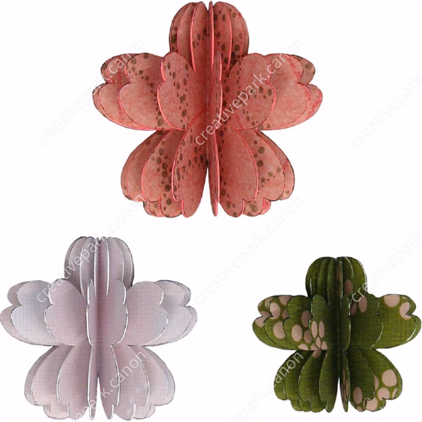 Welche Blume öffnet sich bei Sonne?