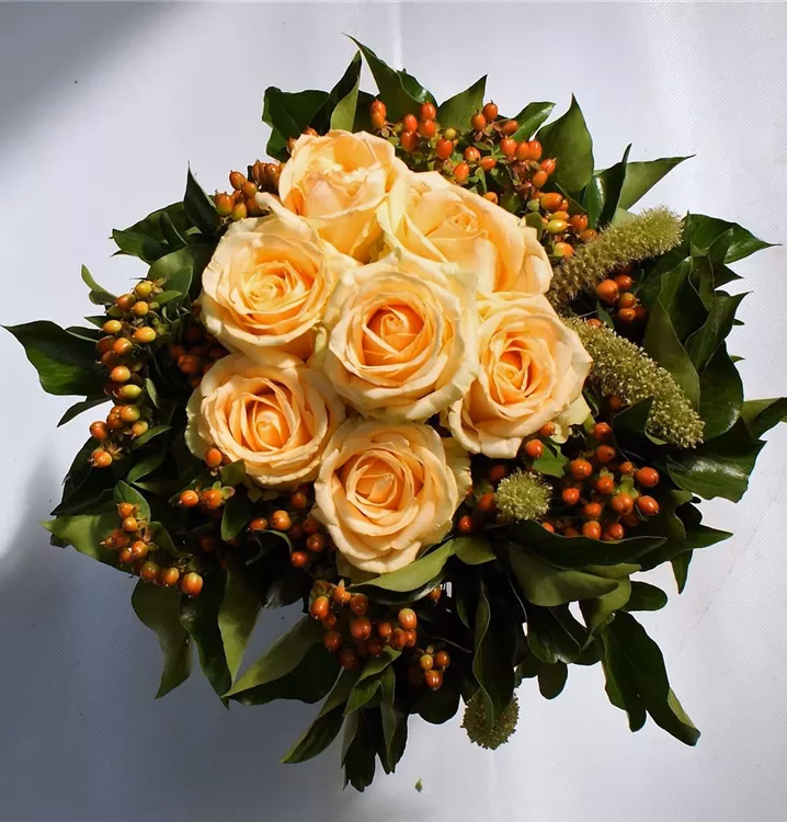 Was bedeuten lachsfarbene Rosen?