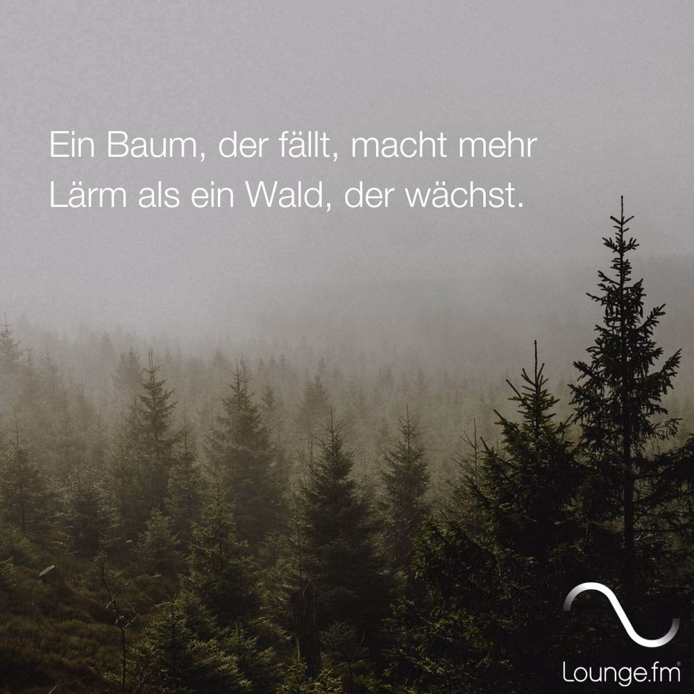Macht ein umfallender Baum im Wald ein Geräusch?