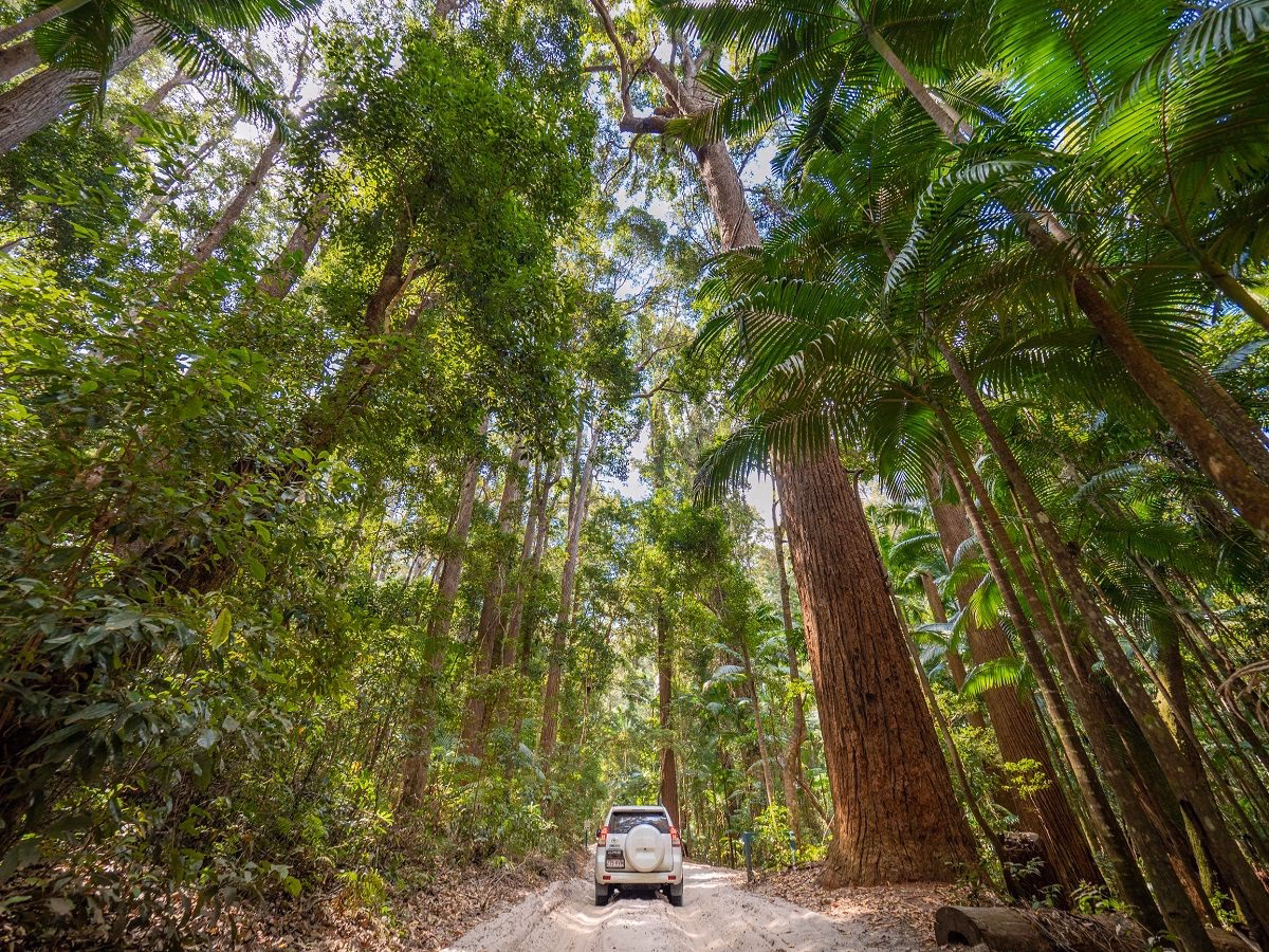 Was ist das besondere an Fraser Island?
