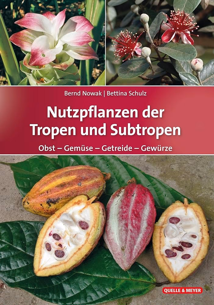 Welche Früchte wachsen in der subtropischen Zone?