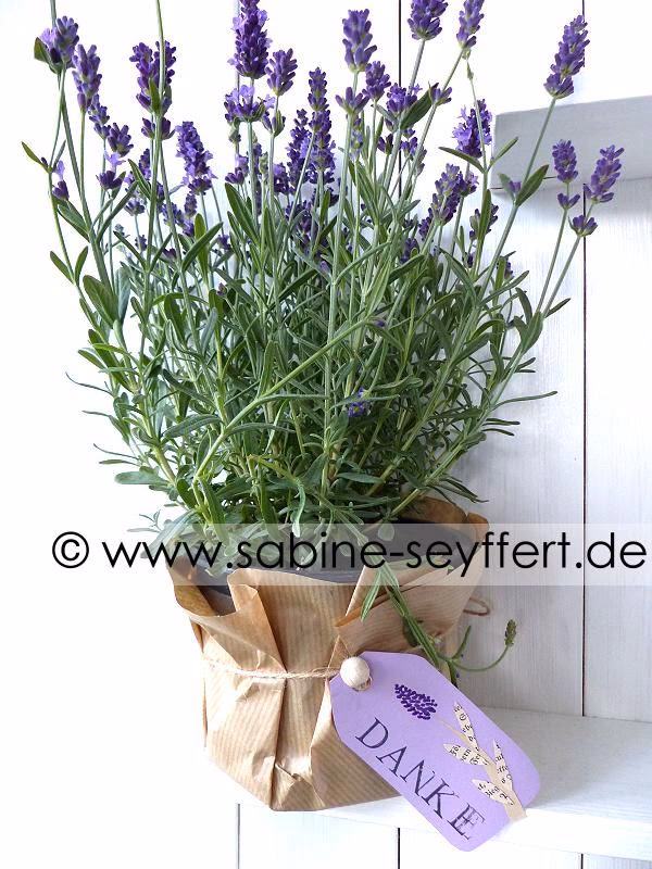Kann man Lavendel verschenken?