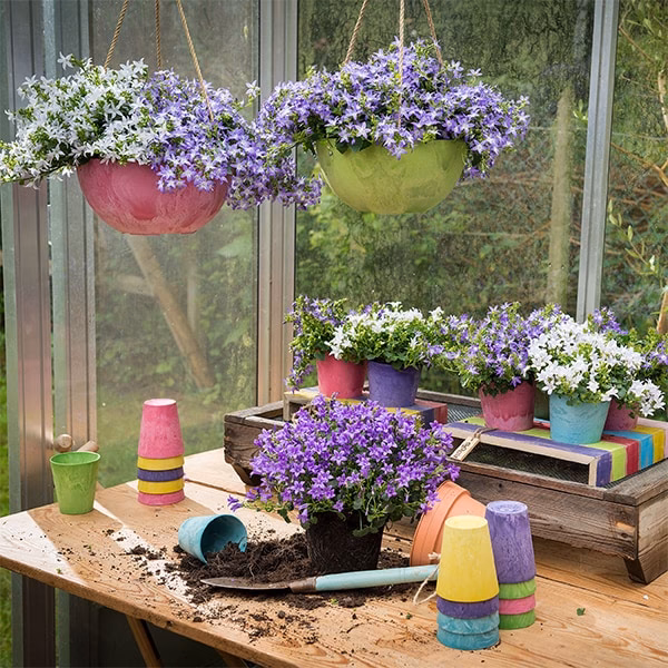Was kostet eine Blumenampel?