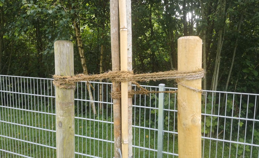 Wie lange muss ein junger Baum gestützt werden?