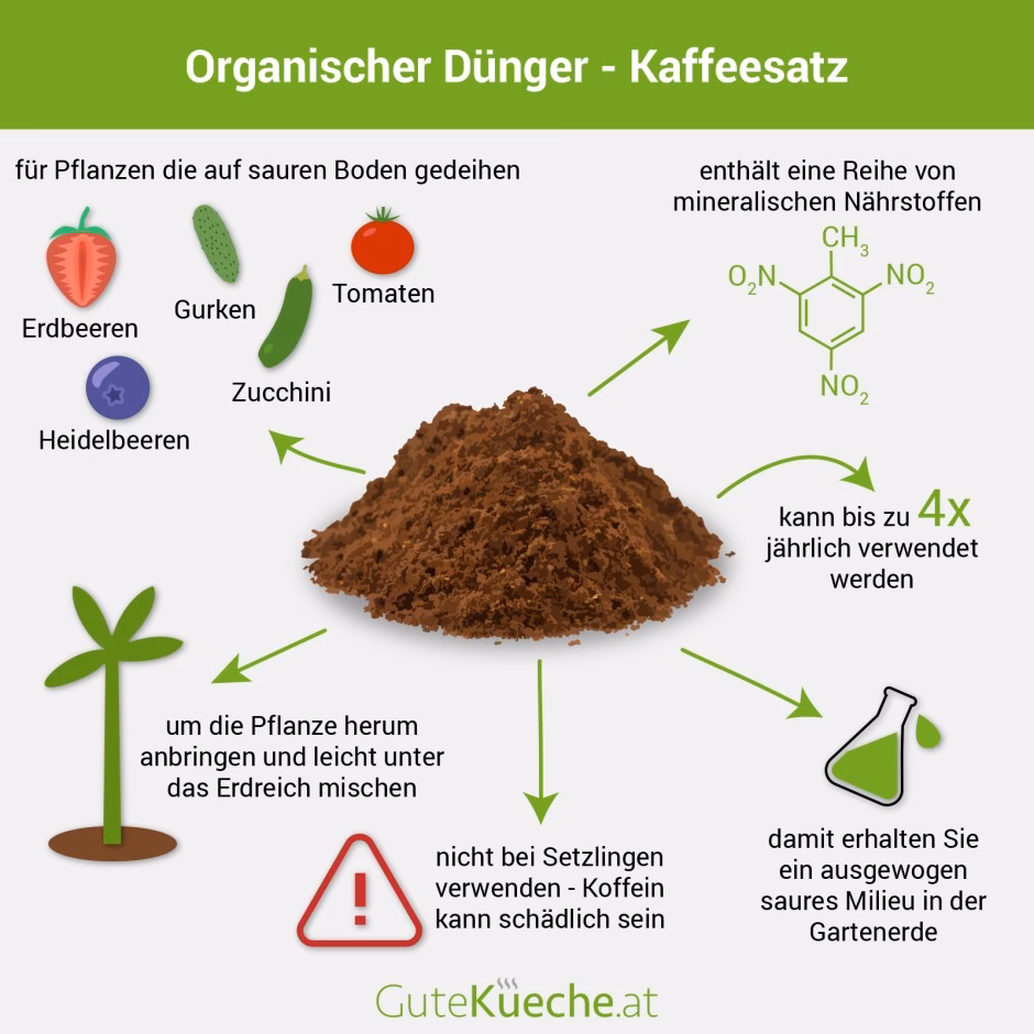 Welche Pflanzen kann ich mit Kaffee Düngen?