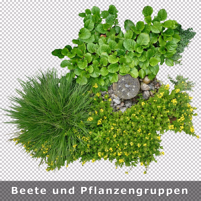 Kann eine Pflanze ein GWG sein?