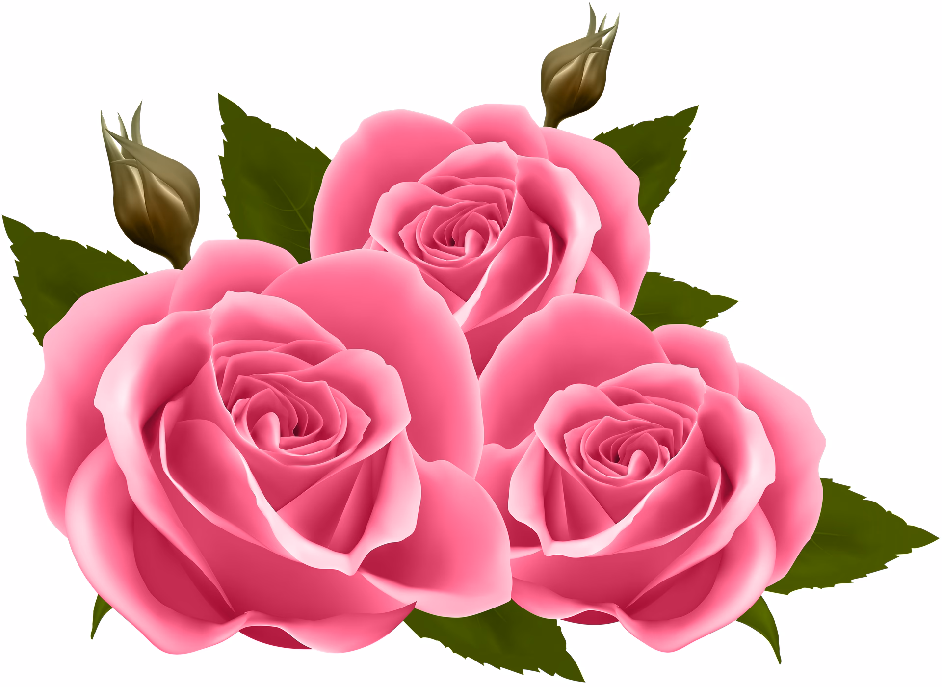 What does giving someone a pink rose mean?