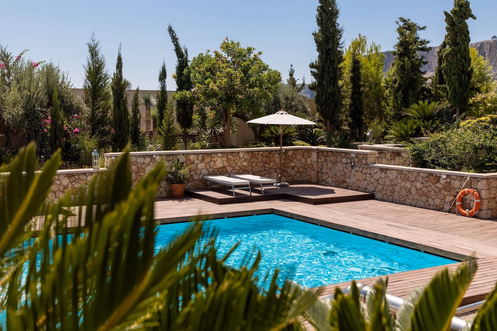 Welche Pflanzen eignen sich als Sichtschutz für einen Pool?
