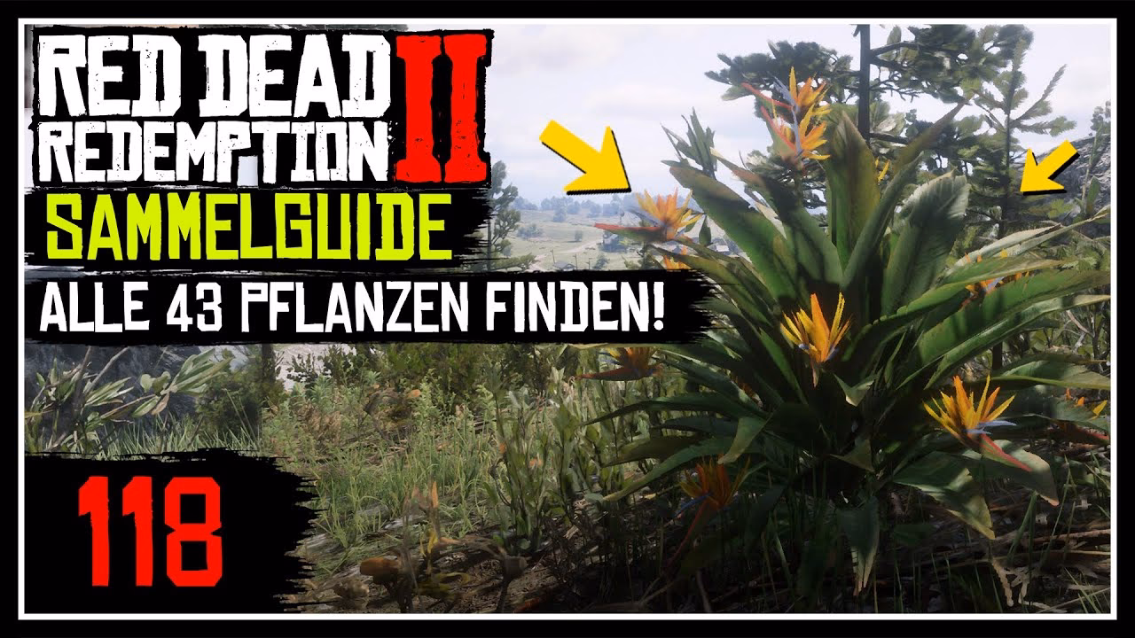 Wo findet man Klettenwurzeln in RDR2?