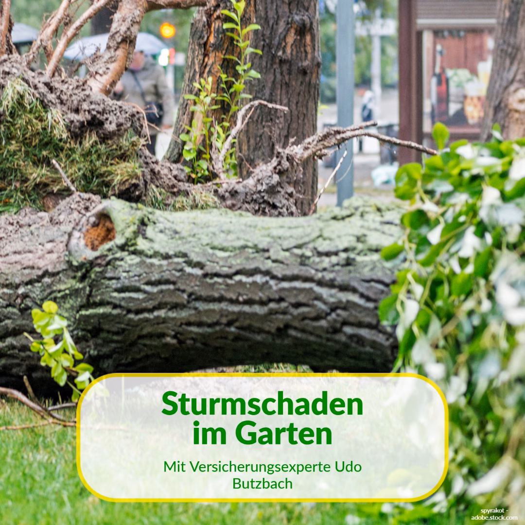 Welche Schäden zählen als Sturmschaden?