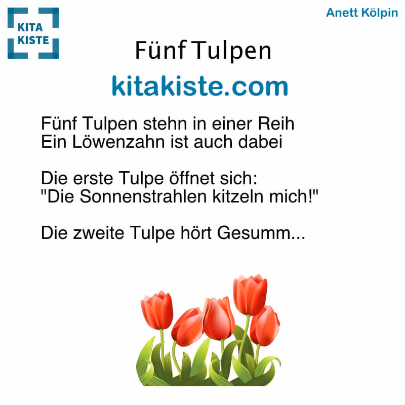 Wie kann man Kindern die Tulpe erklären?
